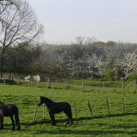 Apartamento Meschermolen 10