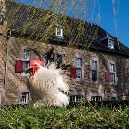 Meschermolen 10 Mesch