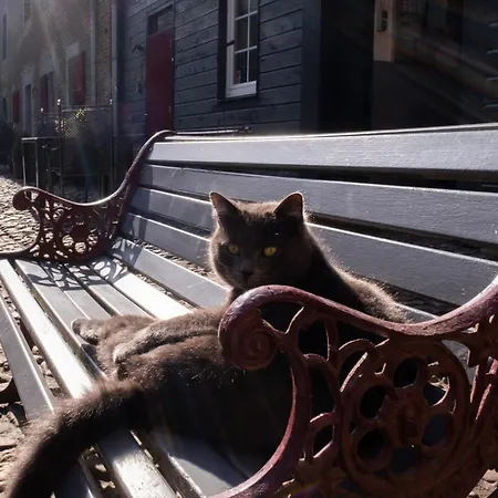 Apartamento Meschermolen 10 *