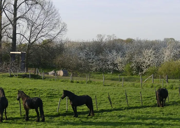 Апартаменты Meschermolen 10