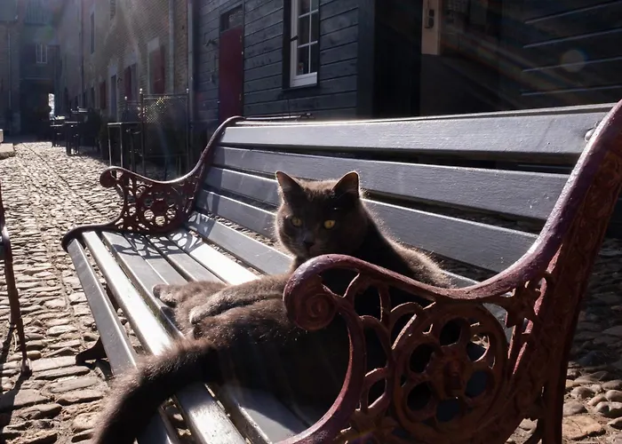 Апартаменты Meschermolen 10 *