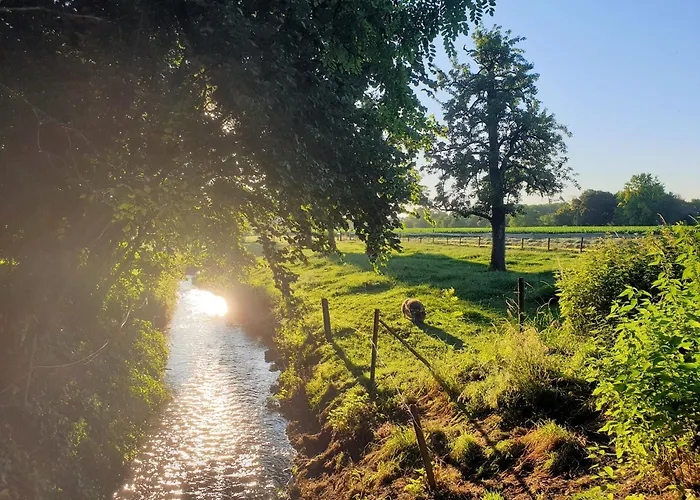 Апартаменты Meschermolen 10 Mesch