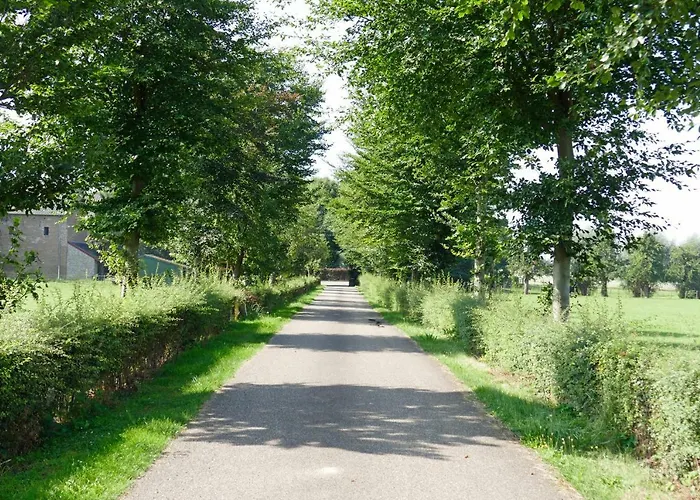 Апартаменты Meschermolen 10 *