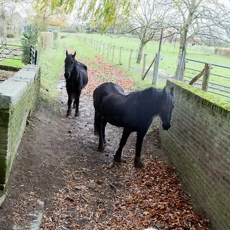 Appartement Meschermolen 10 *